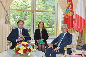 Entretien avec M. Ranko Krivokapic, Président de l'Assemblée nationale du Montenegro